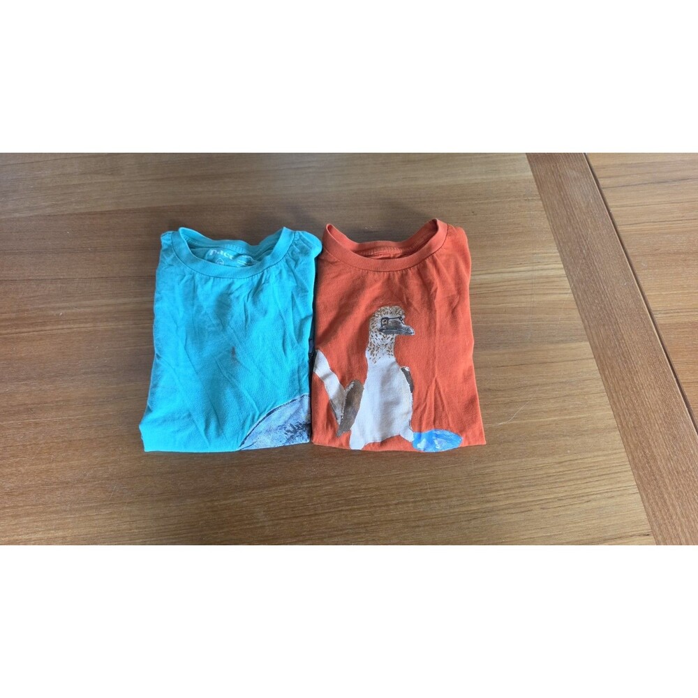 Pact Girl's T-shirt Size 10/12 Pair
